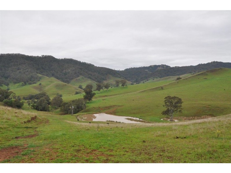 1662 Sandy Creek Rd, “Quince Tree”, McCullys Gap via, Aberdeen NSW 2336