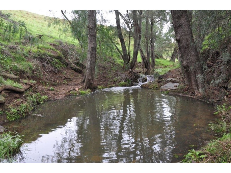 1662 Sandy Creek Rd, “Quince Tree”, McCullys Gap via, Aberdeen NSW 2336