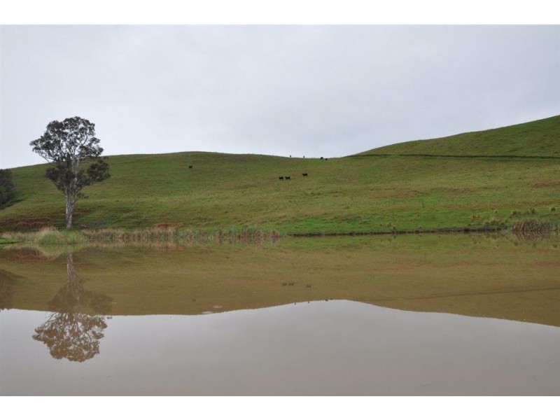 1662 Sandy Creek Rd, “Quince Tree”, McCullys Gap via, Aberdeen NSW 2336