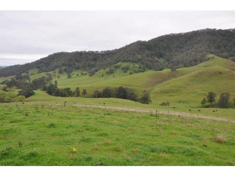 1662 Sandy Creek Rd, “Quince Tree”, McCullys Gap via, Aberdeen NSW 2336