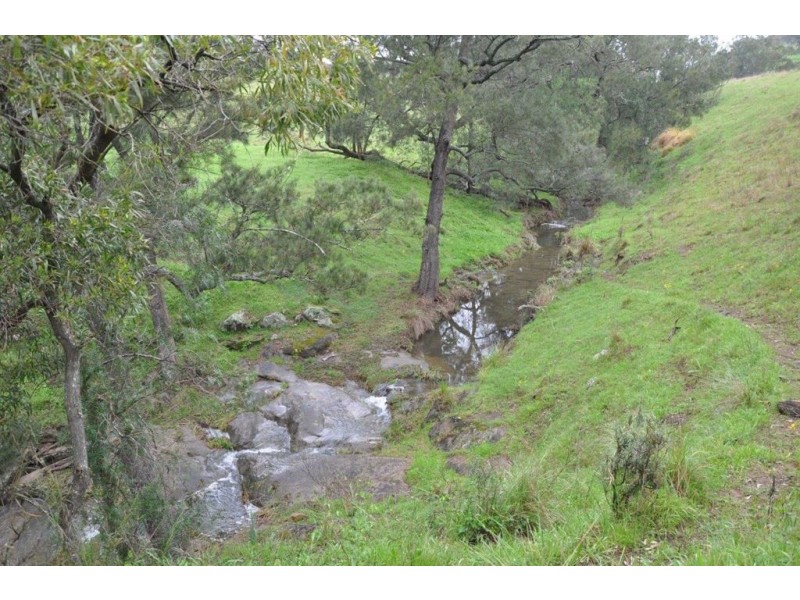 1662 Sandy Creek Rd, “Quince Tree”, McCullys Gap via, Aberdeen NSW 2336