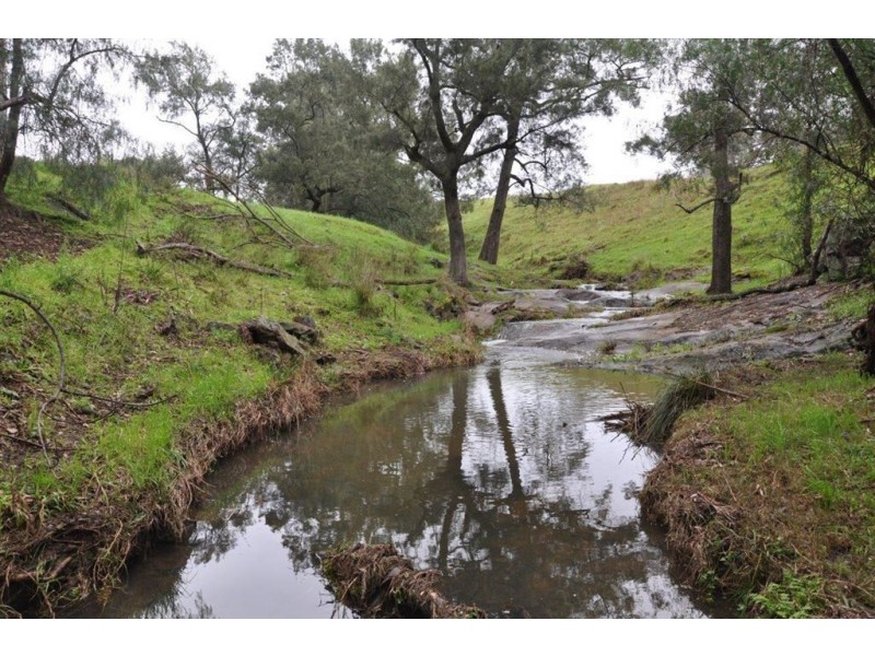 1662 Sandy Creek Rd, “Quince Tree”, McCullys Gap via, Aberdeen NSW 2336