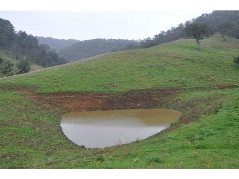 1662 Sandy Creek Rd, “Quince Tree”, McCullys Gap via, Aberdeen NSW 2336