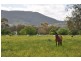 106 Moobi Rd, Scone NSW 2337