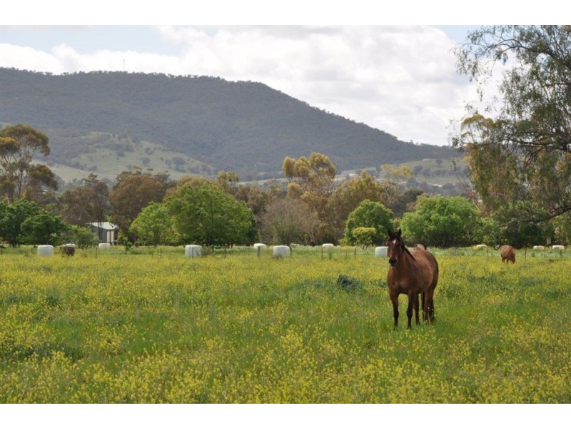 106 Moobi Rd, Scone NSW 2337