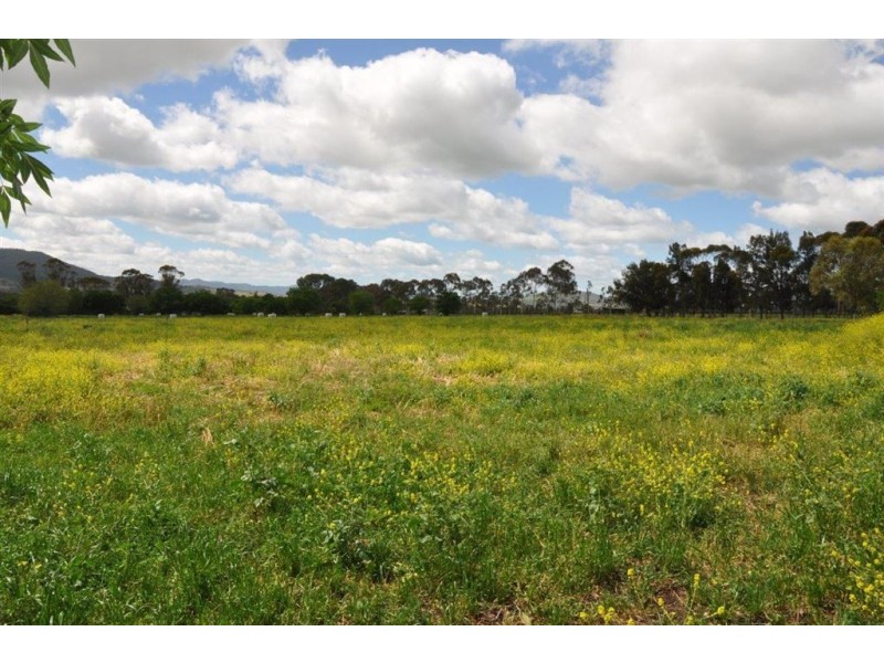 106 Moobi Rd, Scone NSW 2337