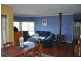 140 Satur Rd, Scone NSW 2337