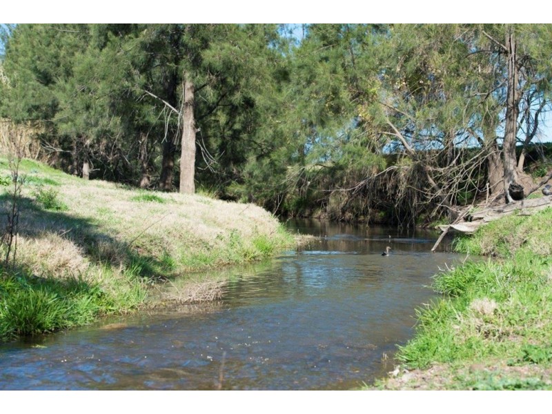 226 Dartbrook Rd, Aberdeen NSW 2336