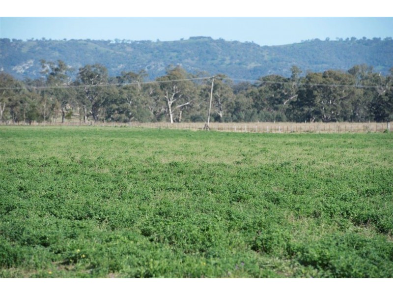 226 Dartbrook Rd, Aberdeen NSW 2336