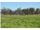 226 Dartbrook Rd, Aberdeen NSW 2336