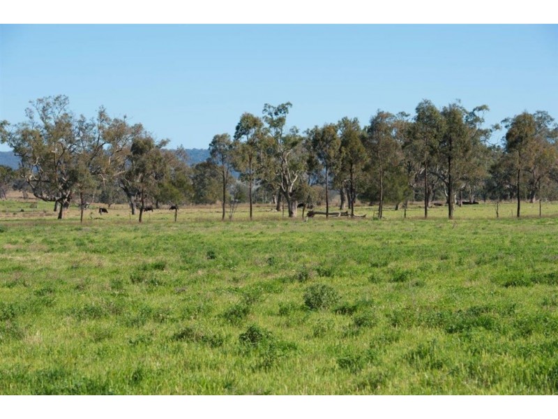 226 Dartbrook Rd, Aberdeen NSW 2336