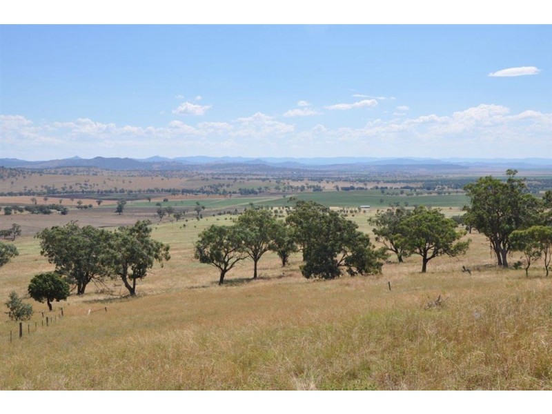 21 Big Jacks Creek Rd, “Craigilea”, Willow Tree NSW 2339