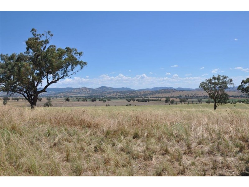 21 Big Jacks Creek Rd, “Craigilea”, Willow Tree NSW 2339