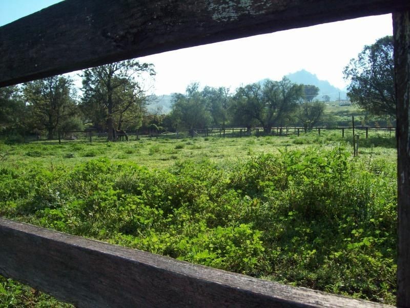 6 Vernon Street, Wingen NSW 2337