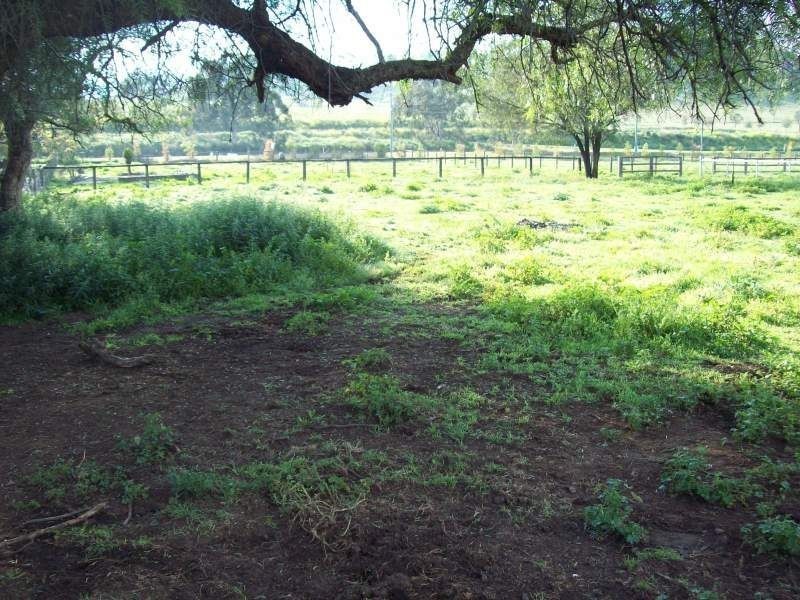 6 Vernon Street, Wingen NSW 2337