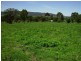 524 Middlebrook Road, Scone NSW 2337