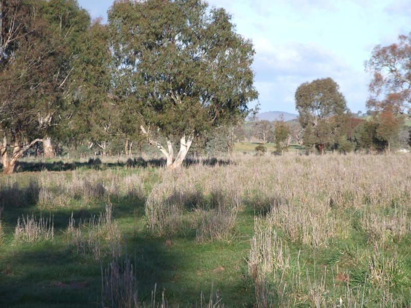 Lot 106 Malabar Lane, Holbrook NSW 2644