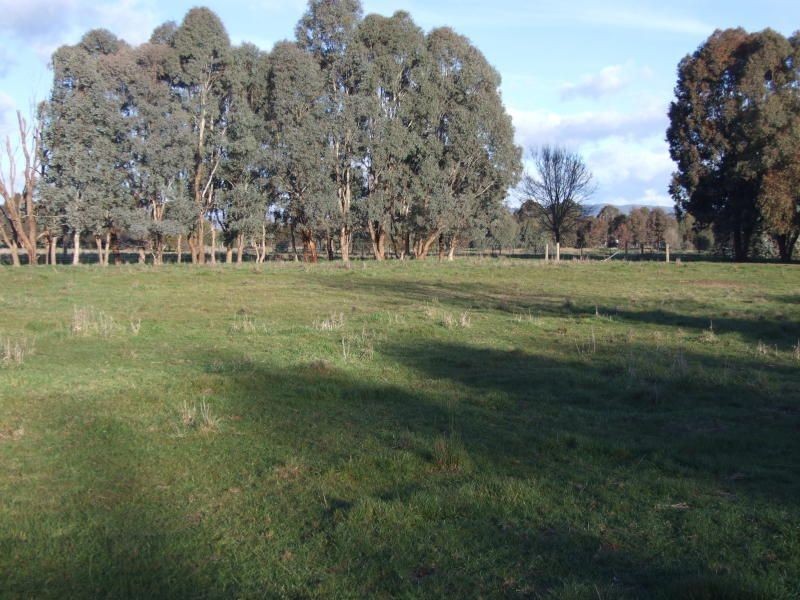 Lot 106 Malabar Lane, Holbrook NSW 2644