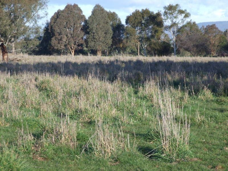 Lot 106 Malabar Lane, Holbrook NSW 2644