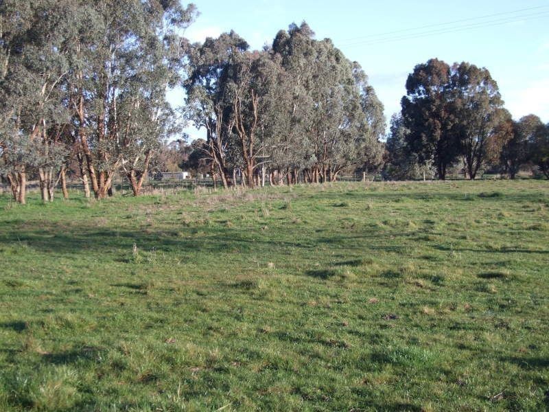 Lot 106 Malabar Lane, Holbrook NSW 2644
