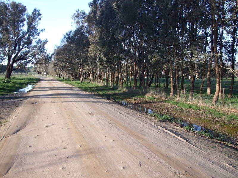 Lot 106 Malabar Lane, Holbrook NSW 2644