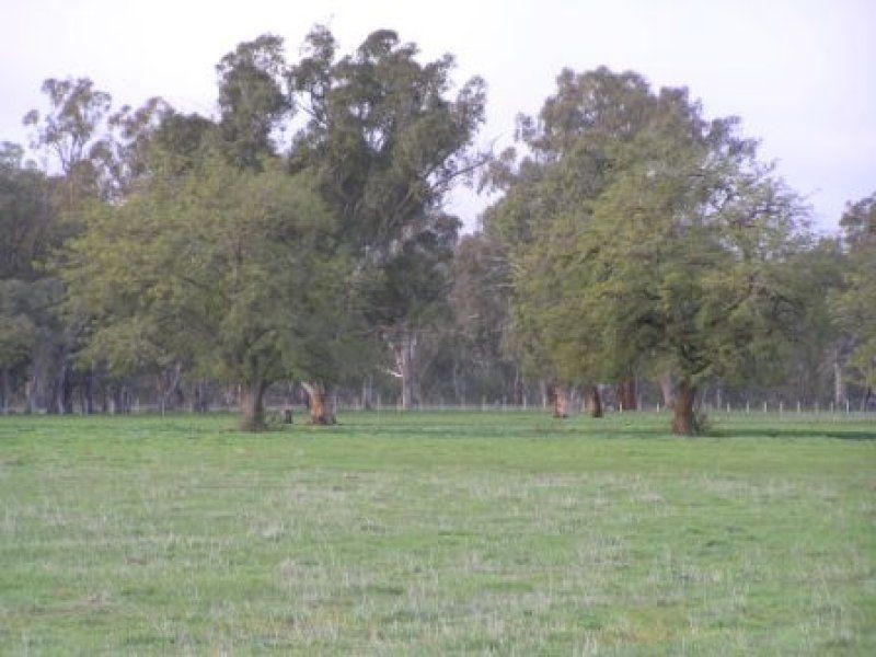 Lot 2 ” Wilungah” Culcairn Road, Holbrook NSW 2644