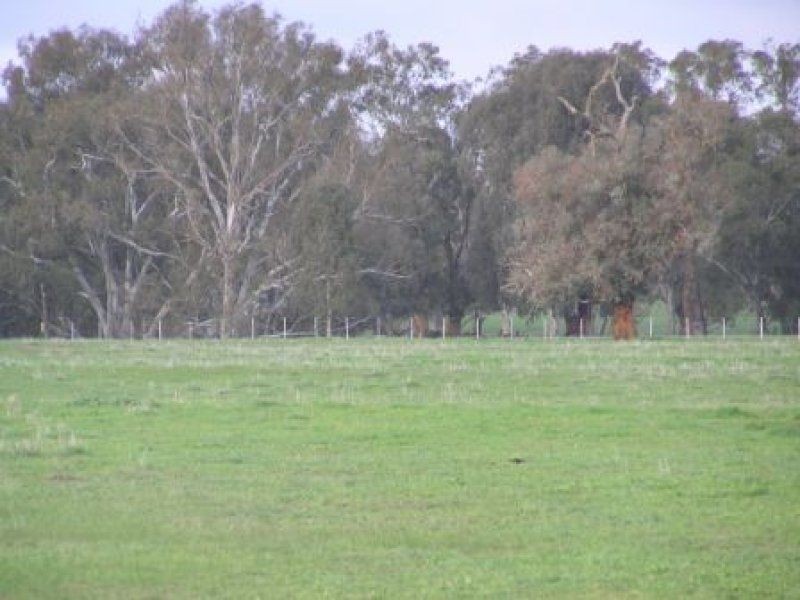 Lot 2 ” Wilungah” Culcairn Road, Holbrook NSW 2644