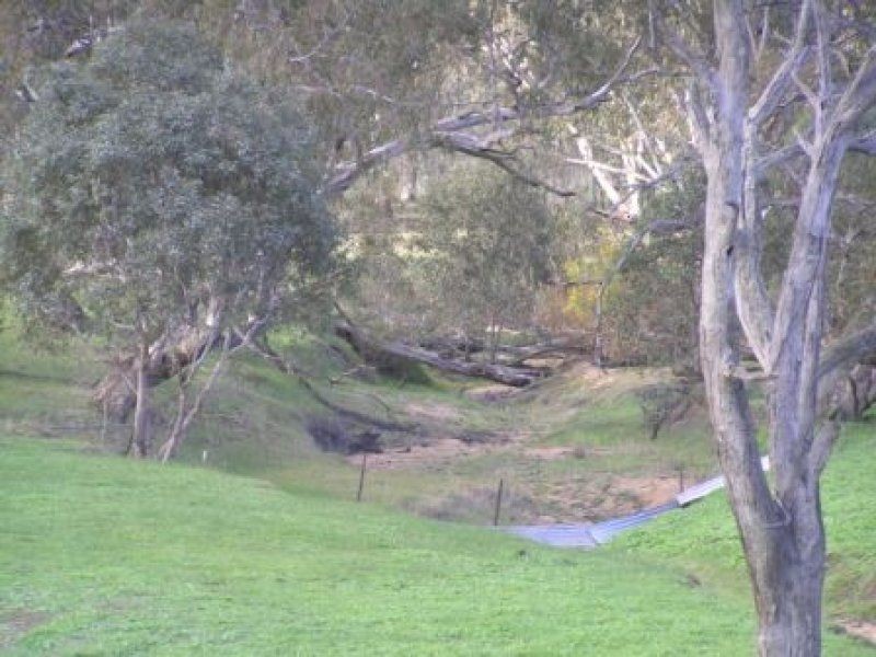 Lot 2 ” Wilungah” Culcairn Road, Holbrook NSW 2644