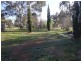 35 Culcairn Road, Morven NSW 2660