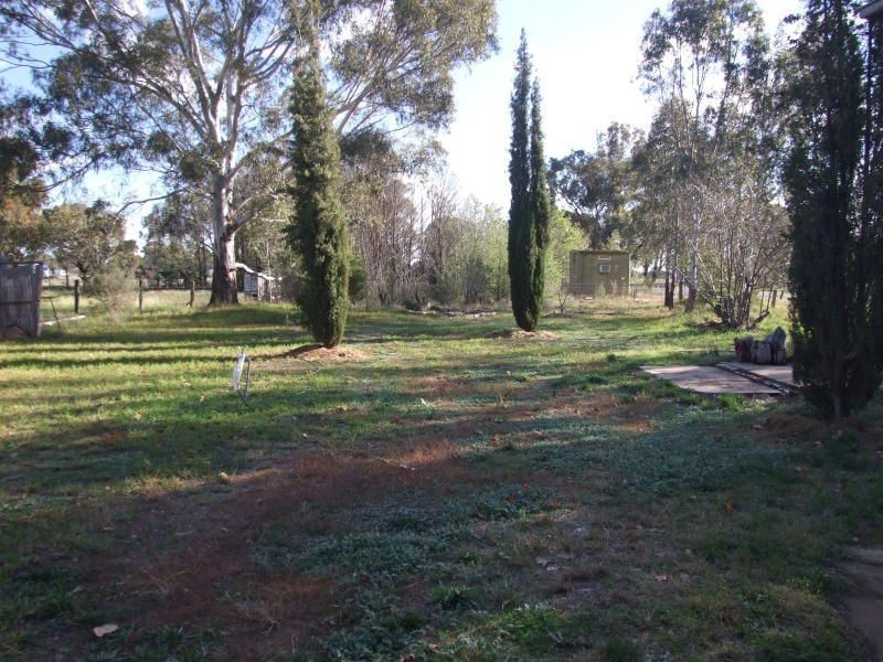 35 Culcairn Road, Morven NSW 2660