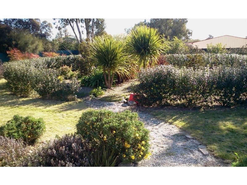 9 Purtell st, Holbrook NSW 2644