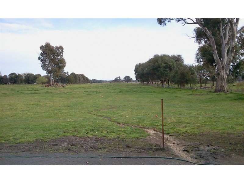 77 Tip Rd, Holbrook NSW 2644