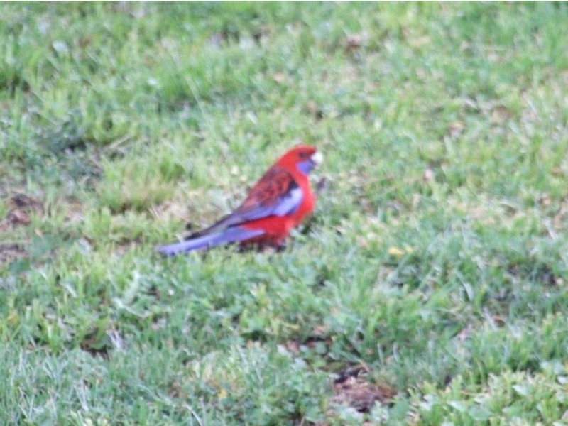 24-26 Bath, Holbrook NSW 2644