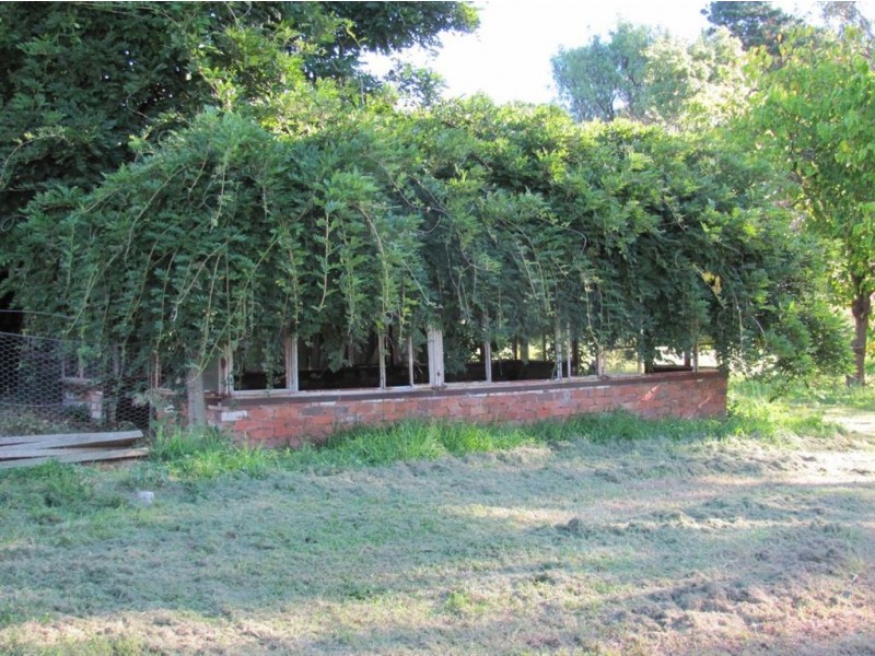 25 Edward Street, Woomargama NSW 2644