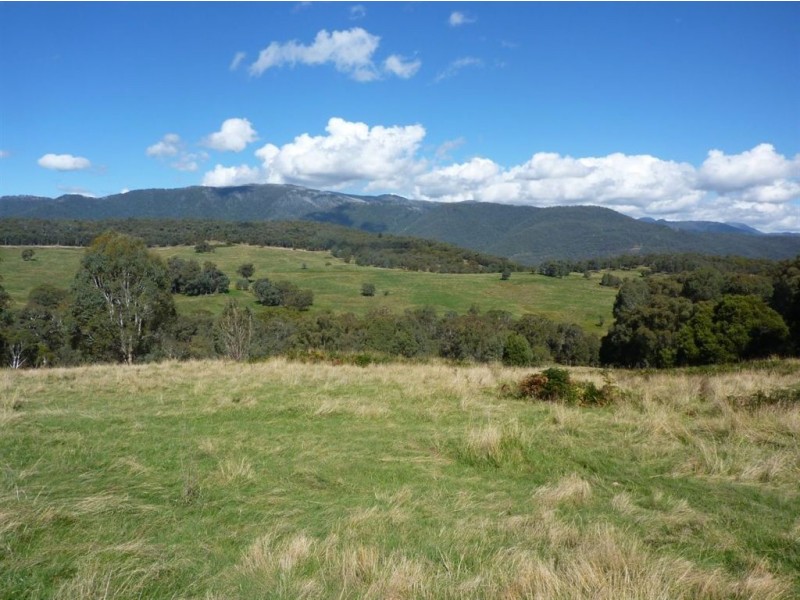 1 Maragle Road, Tumbarumba NSW 2653