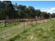 1 Maragle Road, Tumbarumba NSW 2653