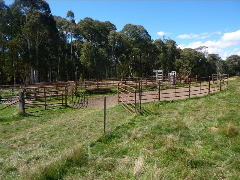 1 Maragle Road, Tumbarumba NSW 2653