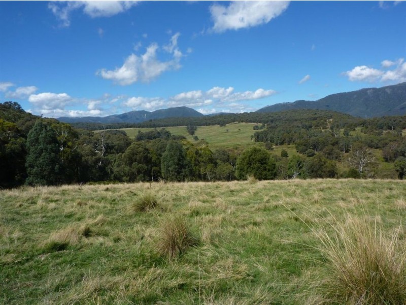 1 Maragle Road, Tumbarumba NSW 2653