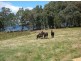1 Maragle Road, Tumbarumba NSW 2653