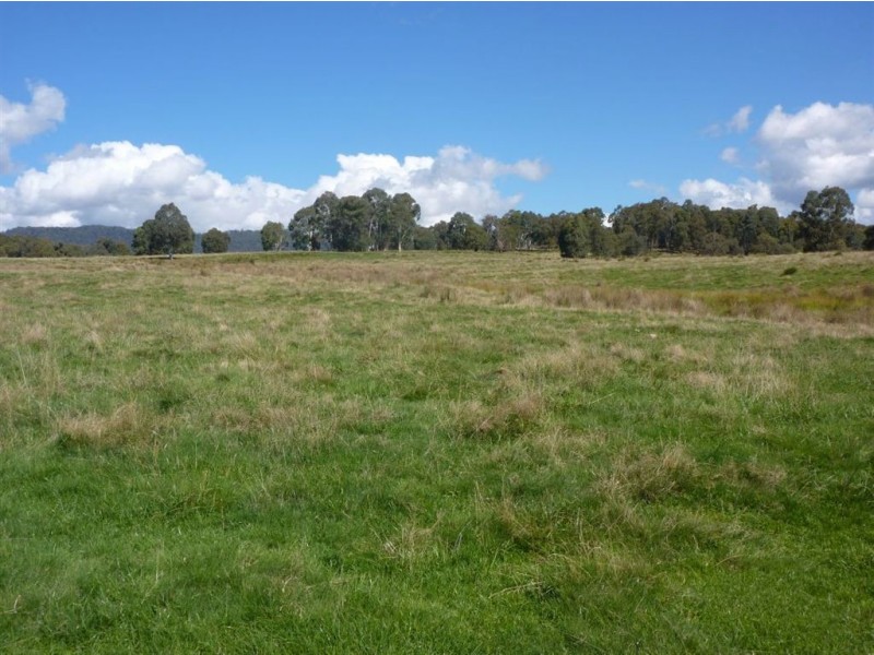 1 Maragle Road, Tumbarumba NSW 2653