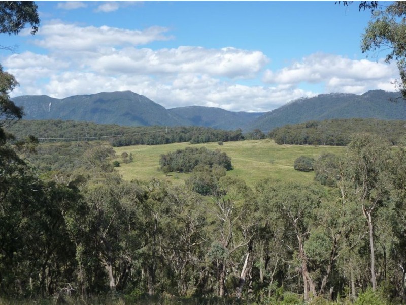 1 Maragle Road, Tumbarumba NSW 2653