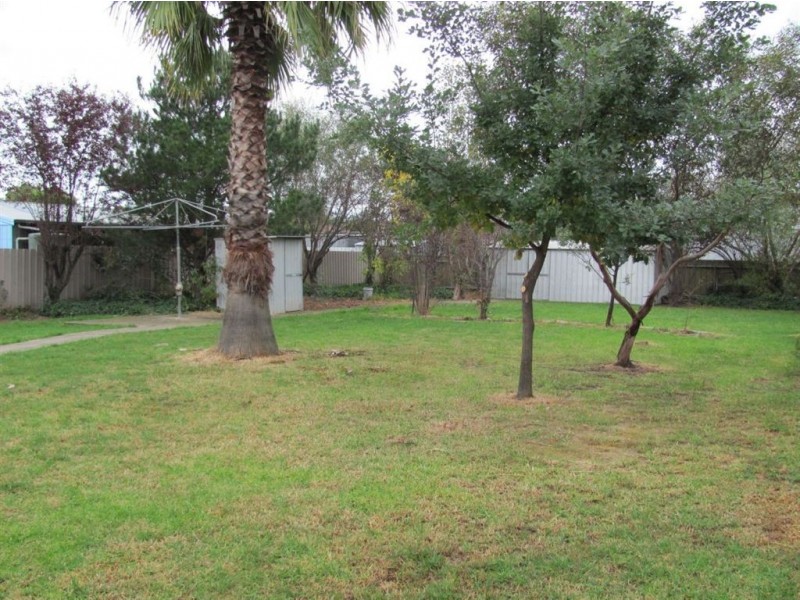 16 Stirbeck St, Holbrook NSW 2644