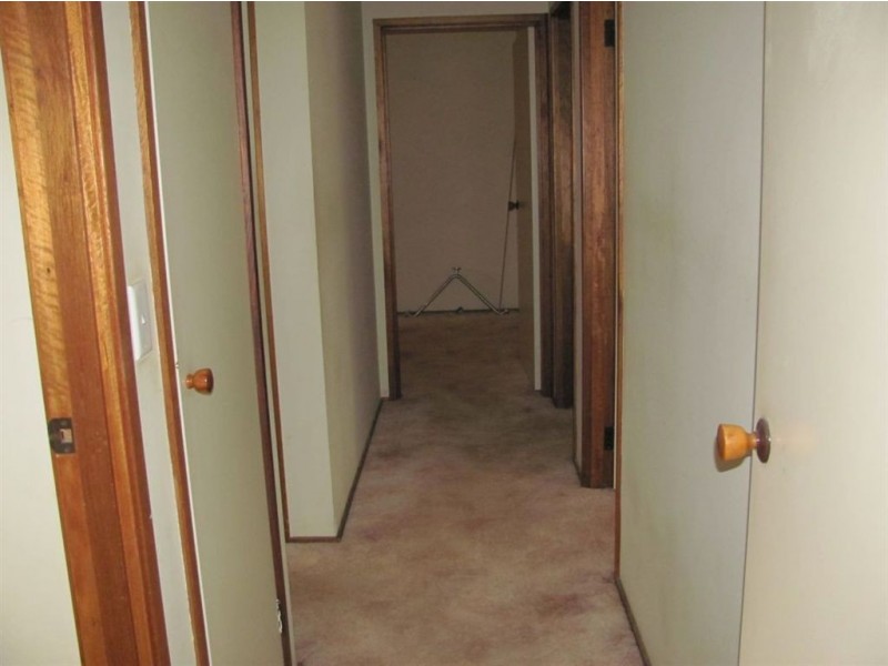 16 Stirbeck St, Holbrook NSW 2644