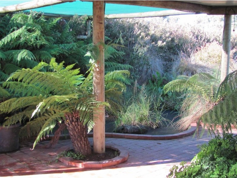 38 Bardwell, Holbrook NSW 2644