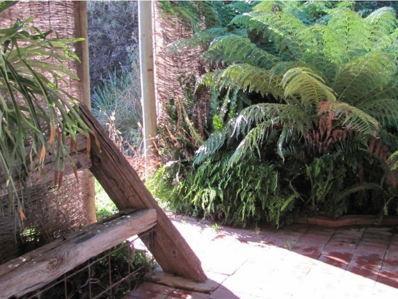 38 Bardwell, Holbrook NSW 2644