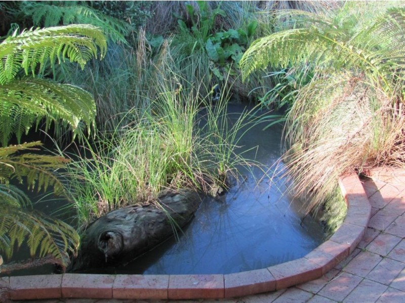 38 Bardwell, Holbrook NSW 2644