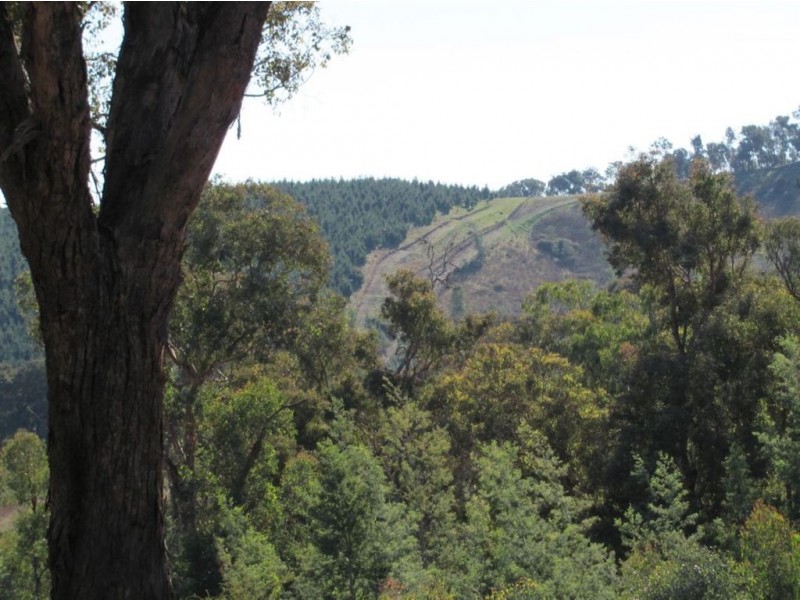 550 Vokins Creek Road, Holbrook NSW 2644