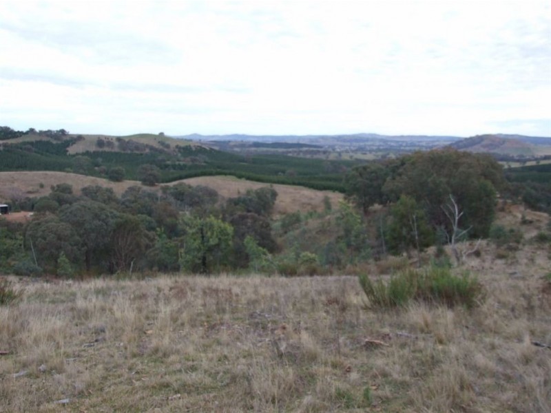 550 Vokins Creek Road, Holbrook NSW 2644