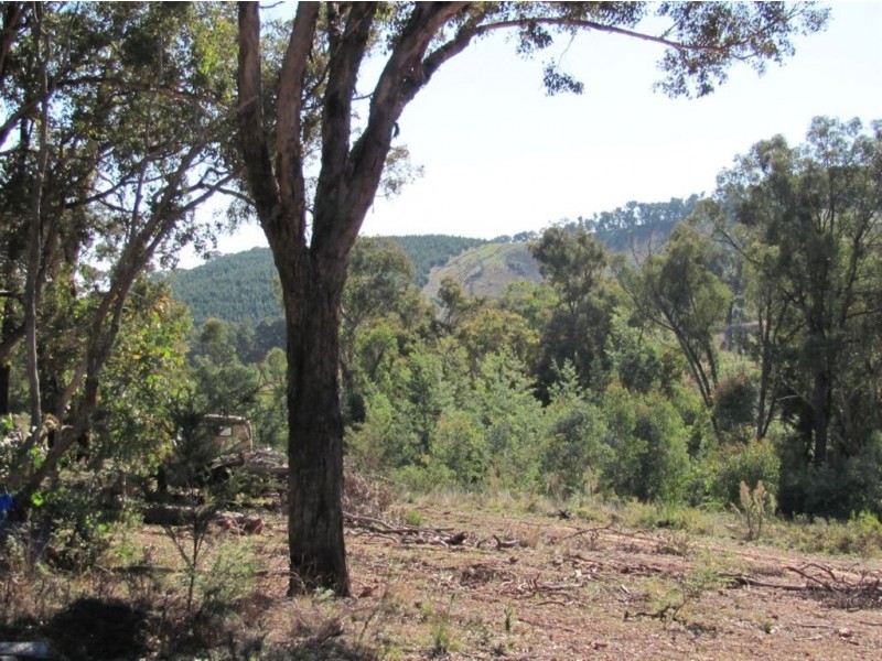 550 Vokins Creek Road, Holbrook NSW 2644