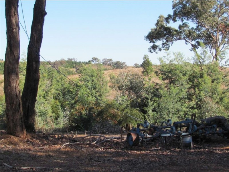 550 Vokins Creek Road, Holbrook NSW 2644